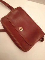 compartment short strap.jpg