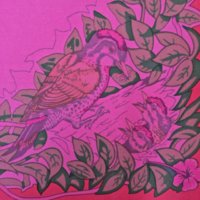 JLbirds - 5.jpg
