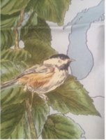 chickadee.jpg