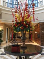 IMG_1486310065.314018.jpg