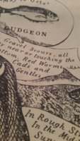 20170206_184322.jpeg