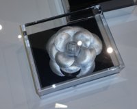 Silver camelia.jpg