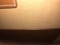 IMG_0345.JPG