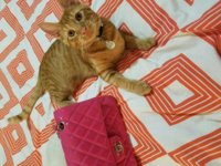 20161229_203059.jpg