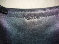 Coach FAKE Maybe 002.JPG