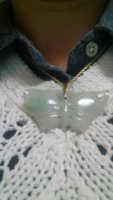 20170215_113727.jpeg