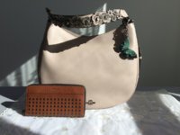 Studs001.jpg