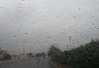 20170221_103130.jpg
