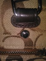 IMG_20170222_233728.jpg