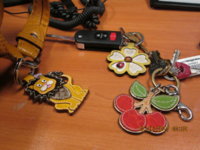 LION, FLOWER & CHERRIES.JPG