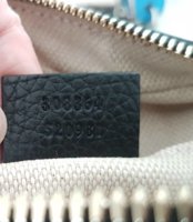 20170226_131823.jpeg