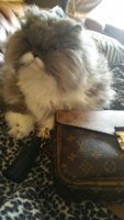 2017-03-02 11.50.12.jpg