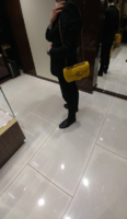 yellowgucci bag.png