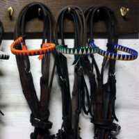 GettheGallop_headband1.jpg