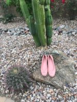image.jpeg