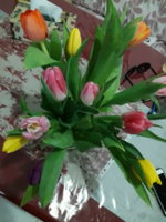 20170308_202835.jpg