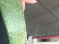 Olive Day 2.jpg