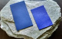 Marine+Blue+Merinos+and+Bluette+Merinos.jpeg