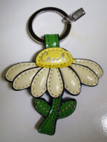 daisy002.jpg