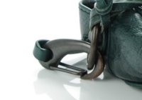 clasp.jpg