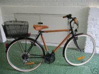 HERMES Bicycle.jpg