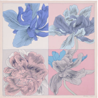 Iris cw 5.png