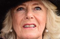 Camilla+Parker+Bowles+Duchess+Cornwall+Visits+Vln6TJHe3jfl.jpg