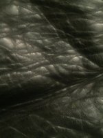 IMG_7178.JPG