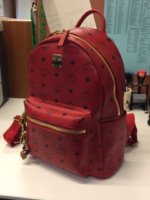 MCM Bag.jpg