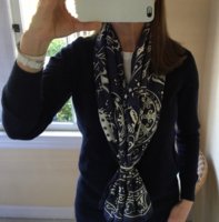 Hermes - Peuple du Vent GM Silk - navy 9.jpg