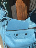 Mystery Blue 2.JPG