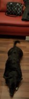 20170325_000013.jpg