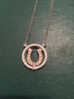 horse shoe necklace.JPG