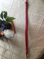 IMG_1490540504.785228.jpg
