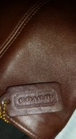 Coach4133-5.jpg