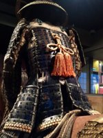 IMG_1491111341.225496.jpg