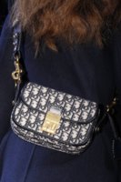 Dior Fall 2017 bag.jpg