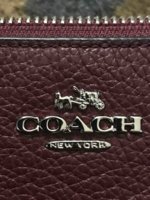coach bag9-ed.jpg