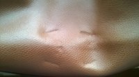 purse 2.jpg