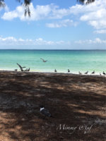IMG_1491850258.399090.jpg