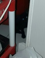 IMG-20170412-WA0003.jpg