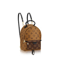 louis-vuitton-palm-springs-backpack-mini-monogram-canvas-fashion-shows--M42411_PM2_Front view.jpg