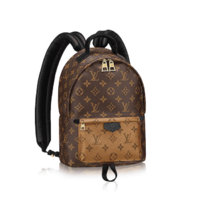 louis-vuitton-palm-springs-backpack-pm-monogram-canvas-handbags--M43116_PM2_Front view.jpg