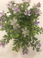 IMG_1492010263.933915.jpg
