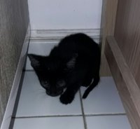 20170412_193403.jpg