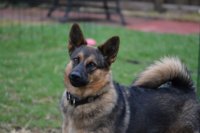 2017 04 13_0099_800x533.JPG