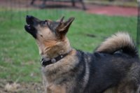 2017 04 13_0100_800x533.JPG