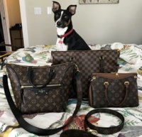 lv tournelle pm