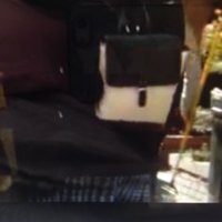 princessdiariesbackpack002.jpg