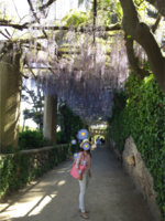 IMG_1493152281.201221.jpg
